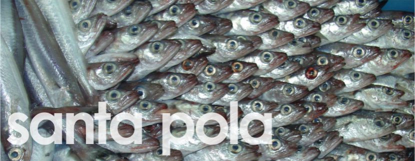 Blog Image for A Fish Lover’s Paradise... Santa Pola Property Scout Online