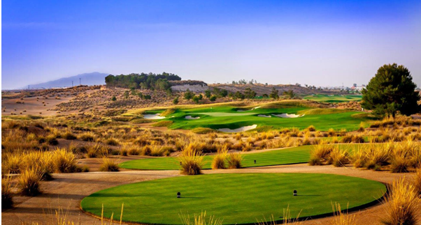 Blog Image for Alhama Signature Golf Property Scout Online